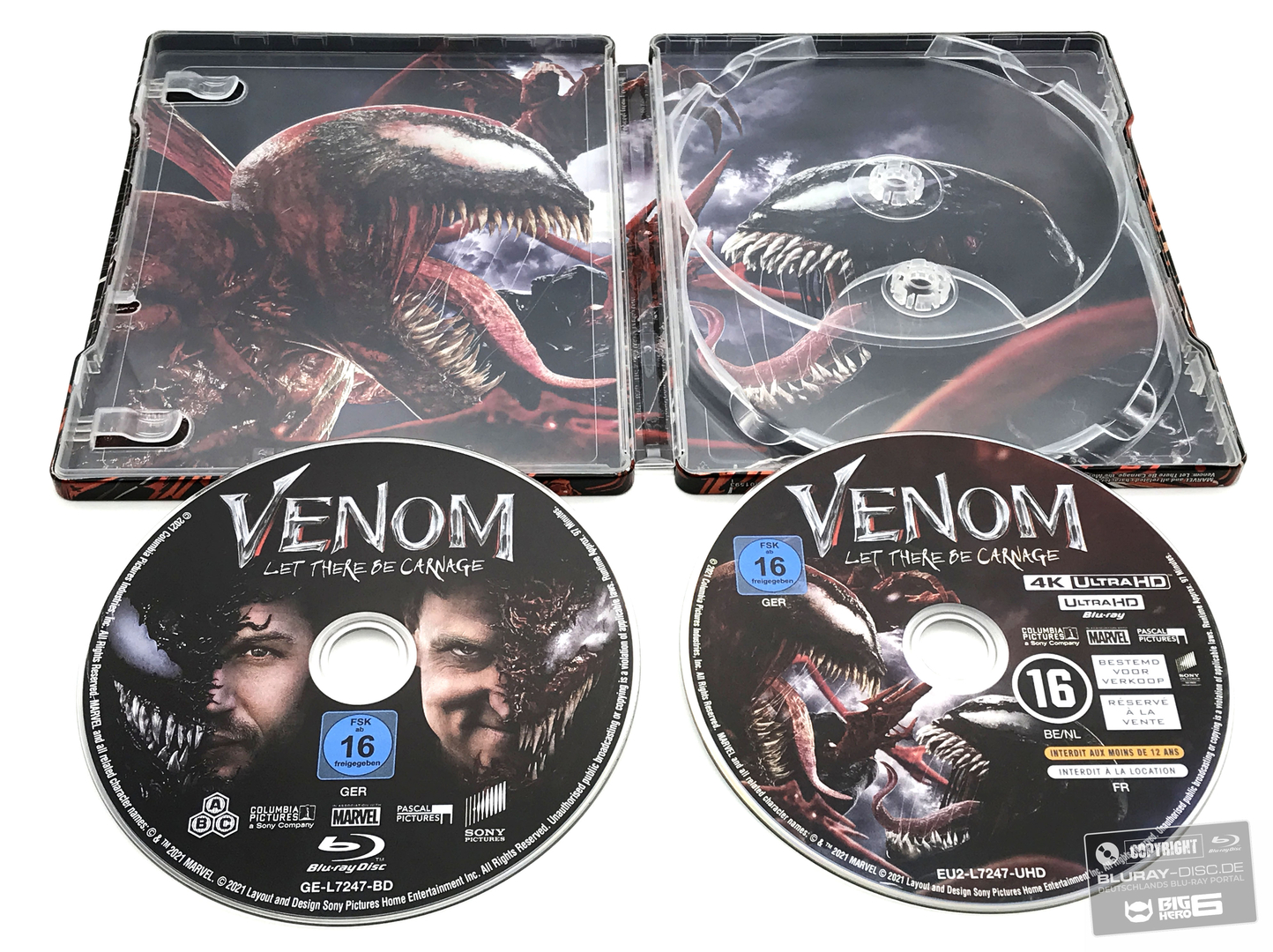 Venom5_-_Kopie.jpg