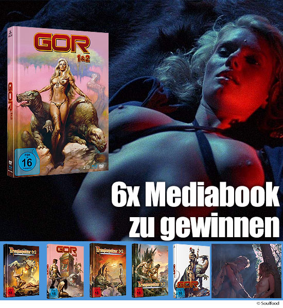 Teaser-6-mediabooks-GWS.jpg