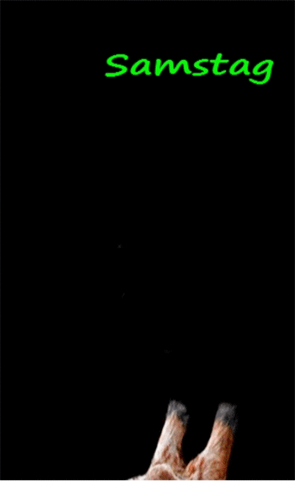 cfd7c27cfad4fae20e1f7de19c95ed6a.gif