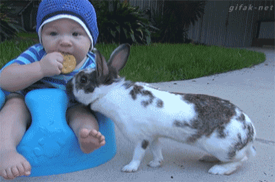 c123af43d3d31a607c46bfb0ac77d839.gif