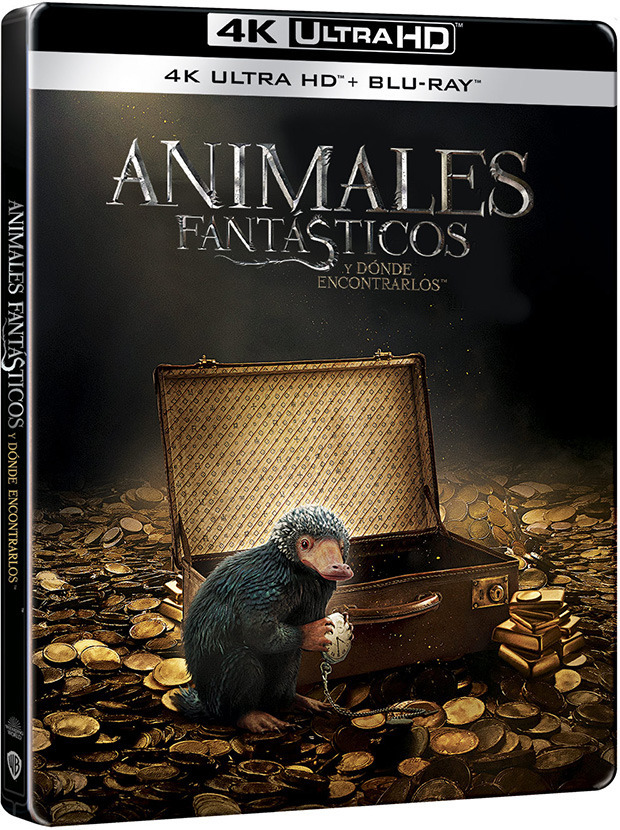 C87416B1-183F-4FFD-BCC9-D009C73B1CDC.png