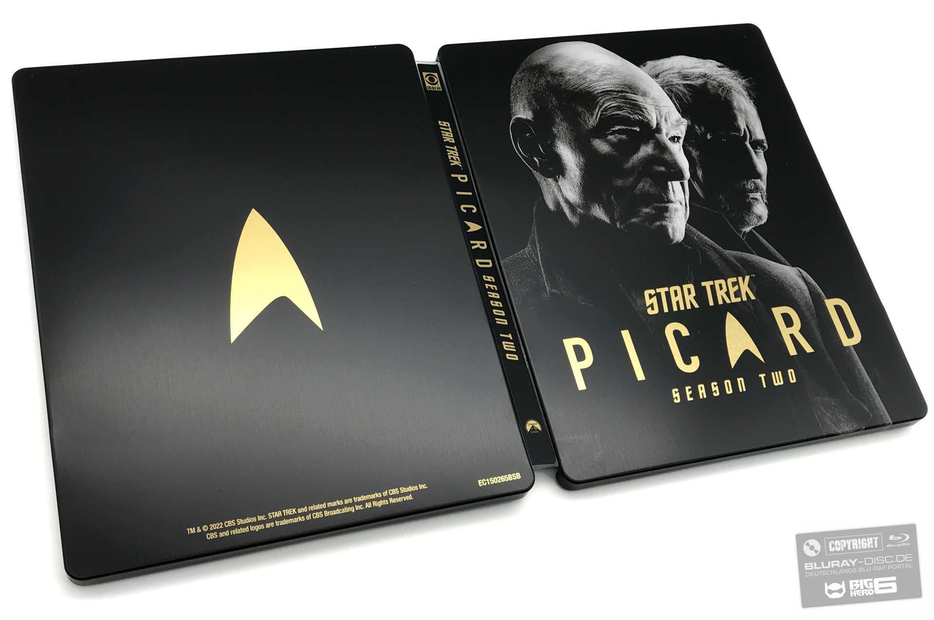 Picard04_-_Kopie.jpg