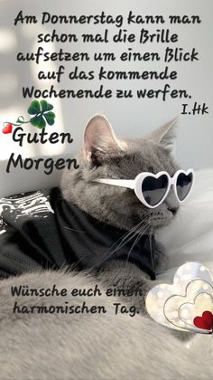 IMG_9470.jpeg