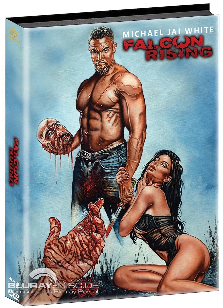 Falcon_Rising_Galerie_Mediabook_Cover_A.jpg