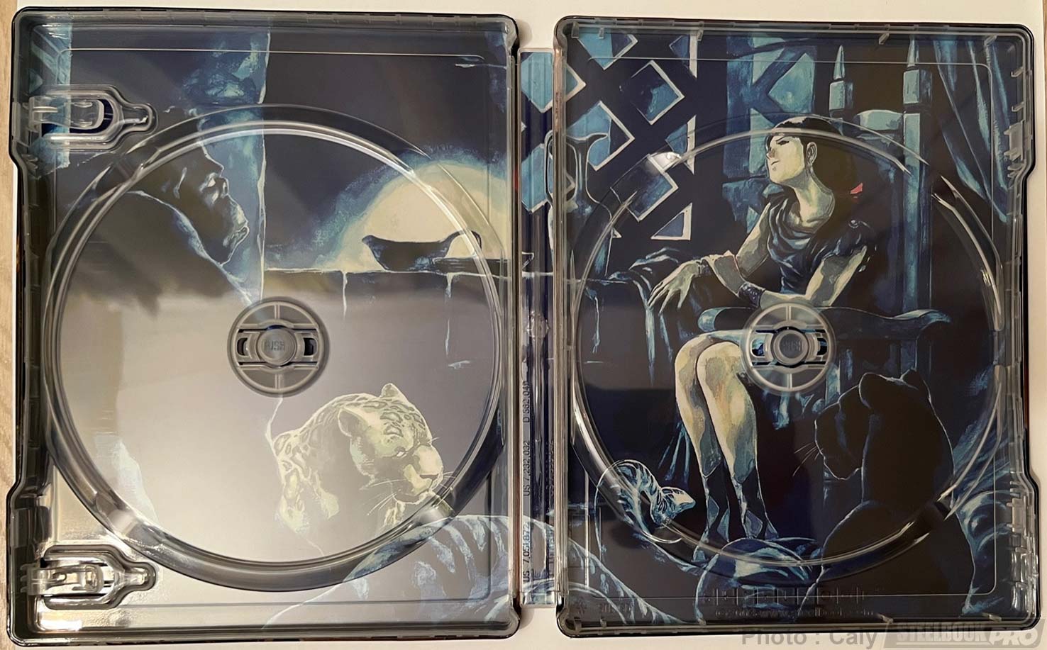 Arion-steelbook-2.jpg