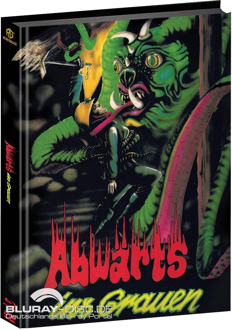 Abwaerts_ins_Grauen_Galerie_Mediabook_Cover_C.jpeg