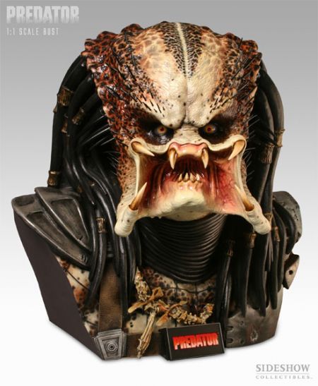 Predator-Bust.jpg