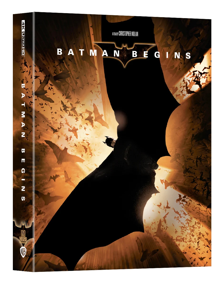 Batman_begins_DLSA_front_5000x.jpg