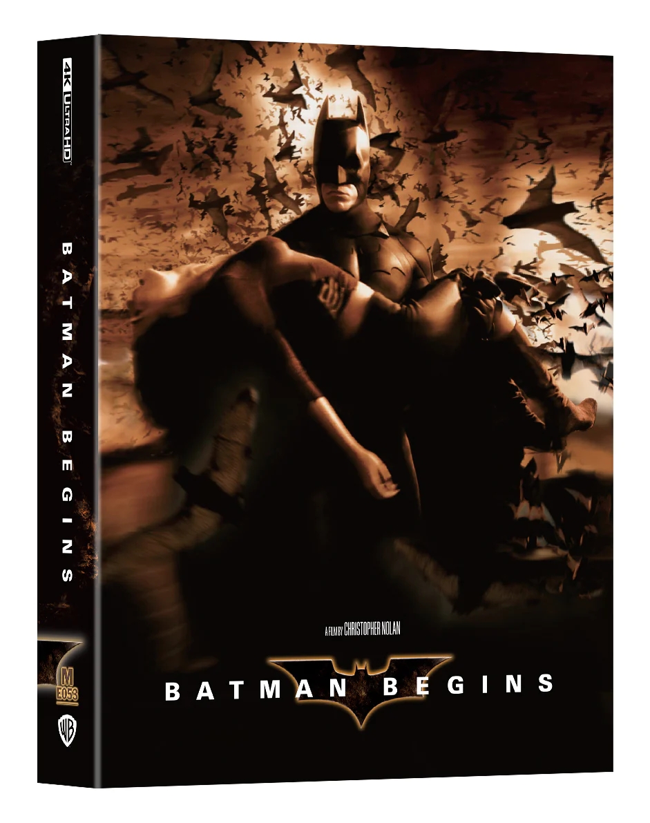 Batman_begins_DLSB_front_5000x.jpg