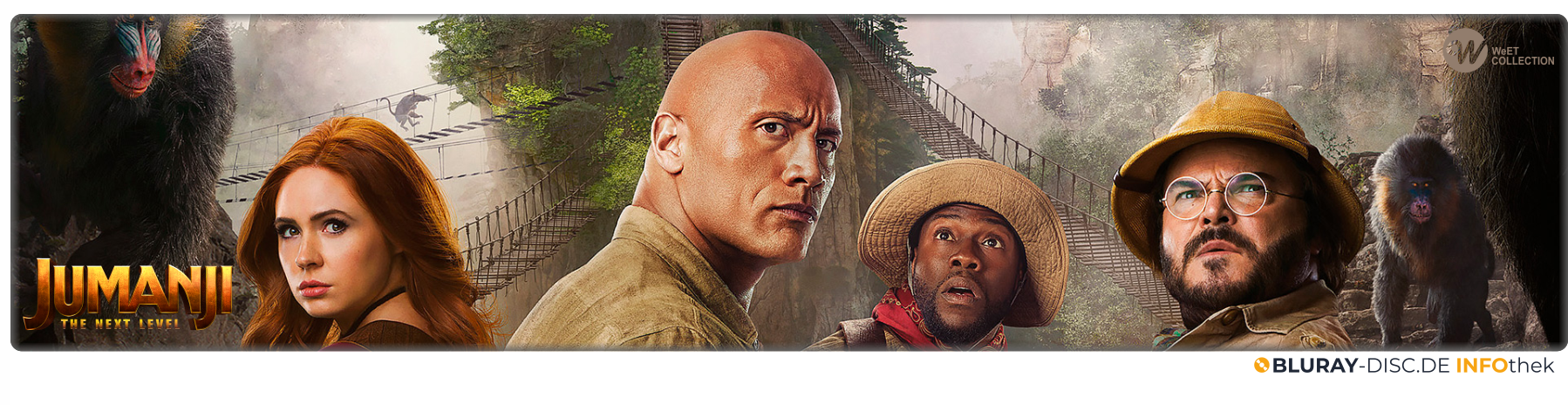 Jumanji_-_The_Next_Level.png