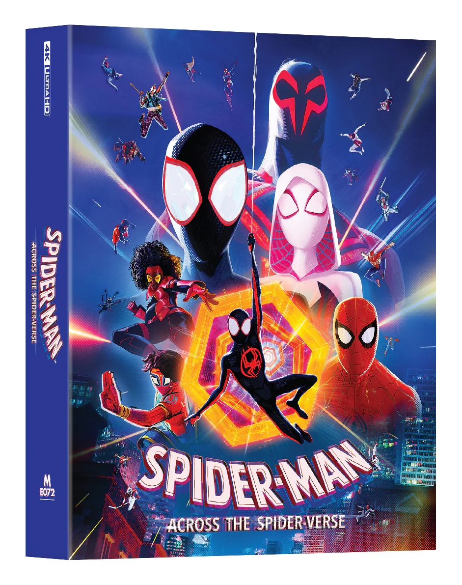 Spiderverse2_DLSB_front_5000x.jpg