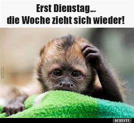 Dienstag2.jpeg