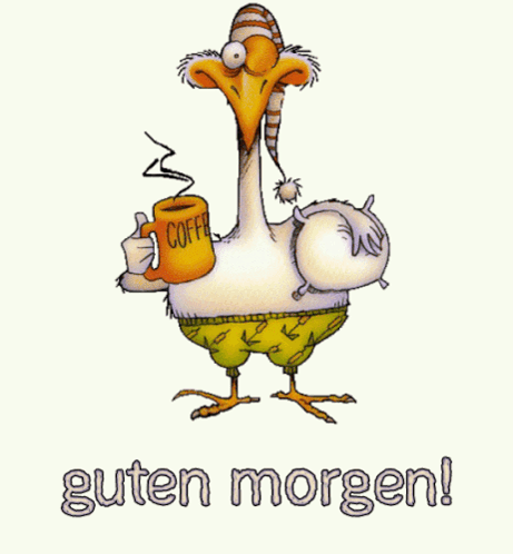 IMG_5895.gif