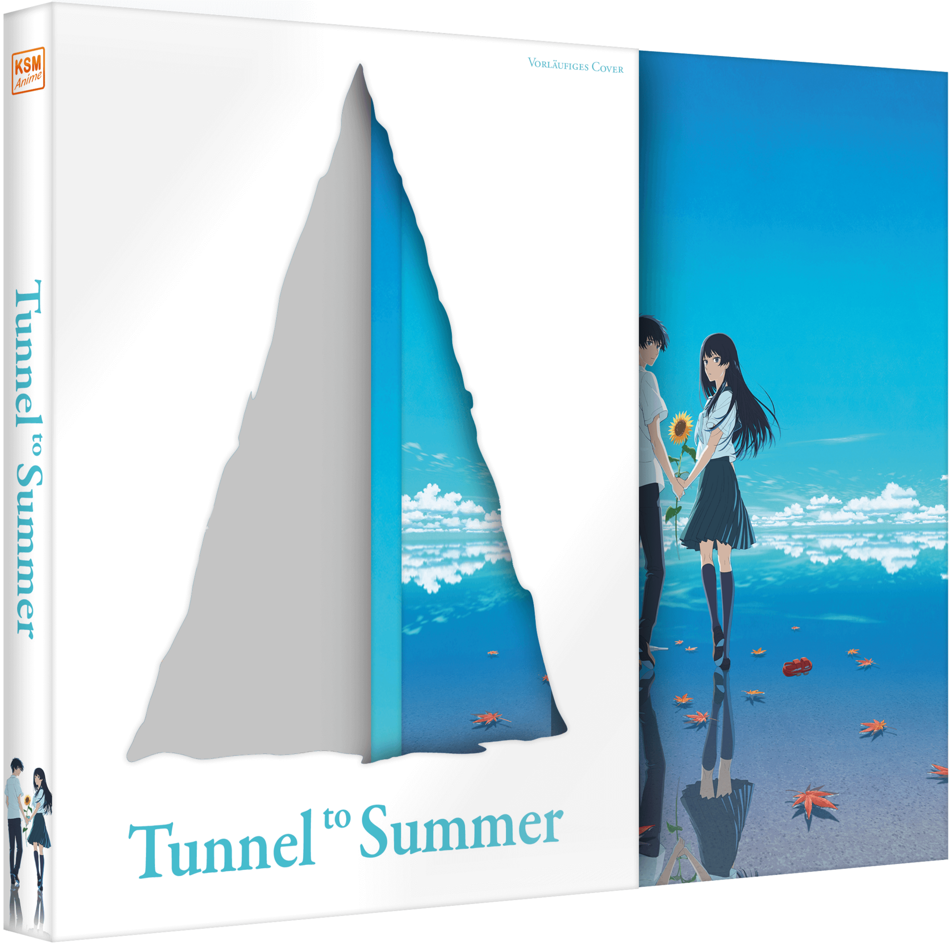 Tunnel_to_Summer_SE_Schuber_Packshot_3D_mitDP2.png