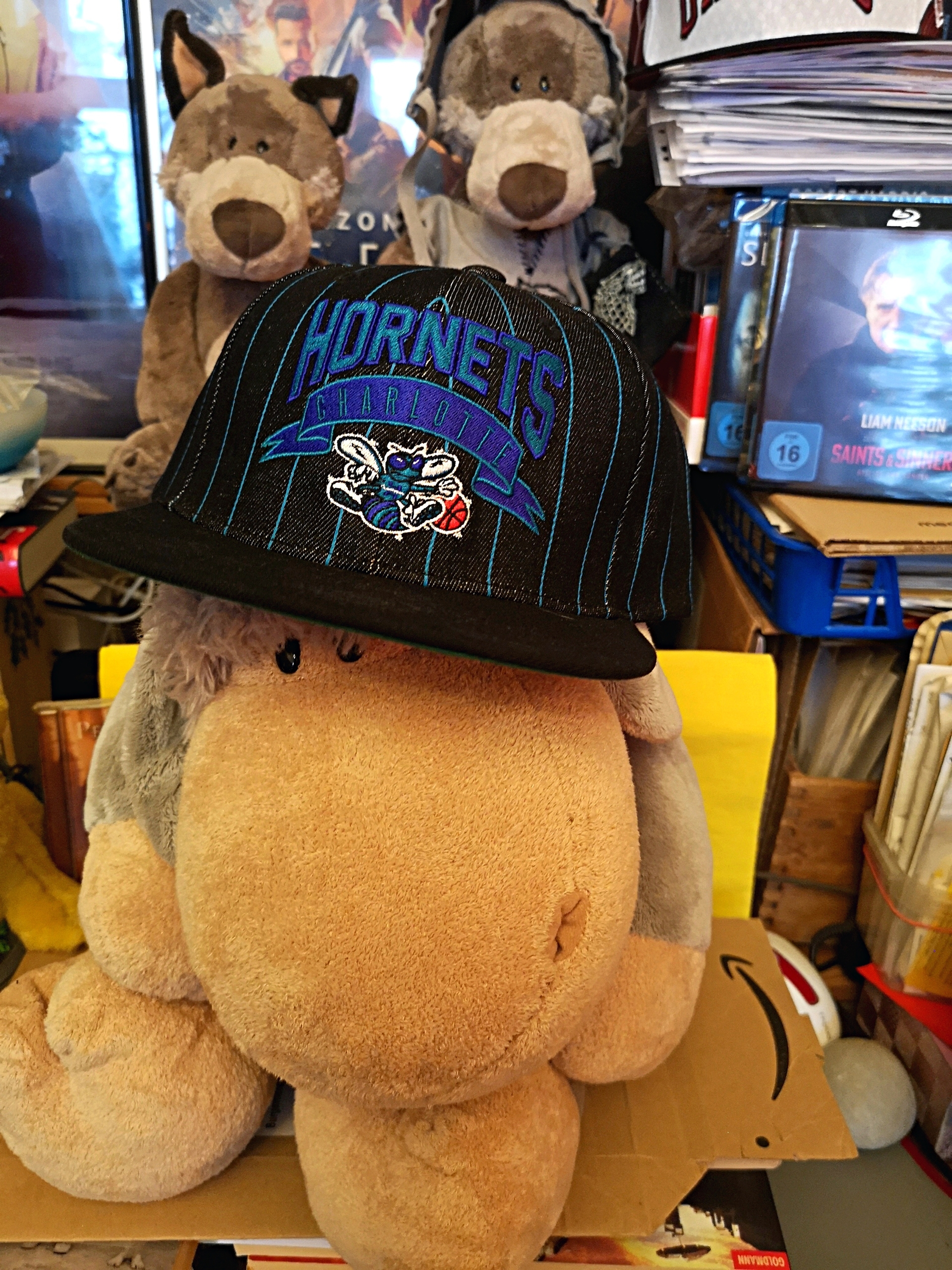 HornetsOK.jpg