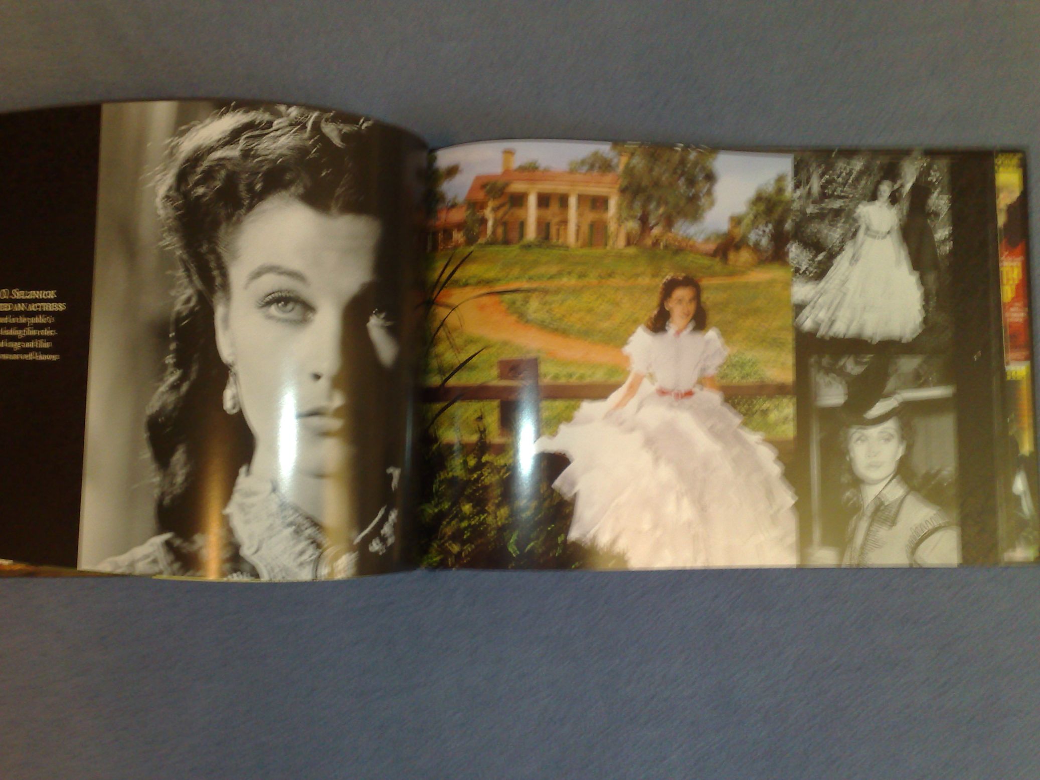 Gone with the wind 15 - Artbook.jpg