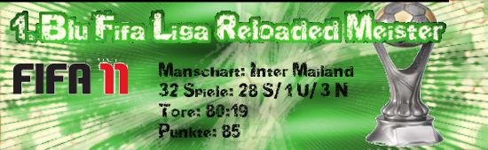 Banner FIFA LIGA MEISTER2.jpg