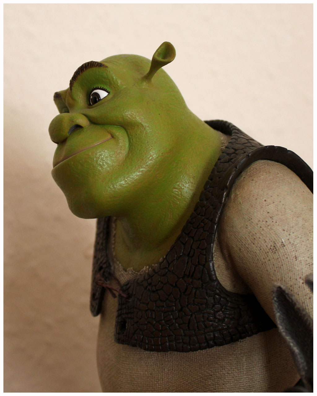 Attakus_Shrek_D.jpg