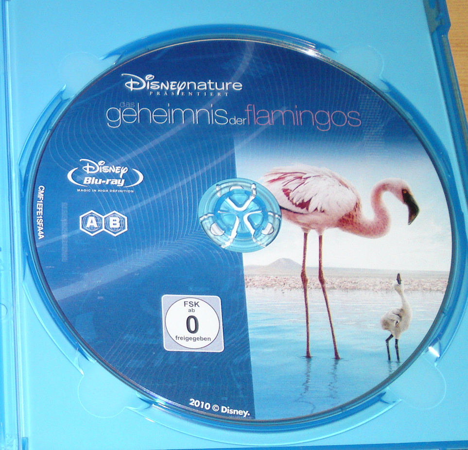 Geheimnis_Flamingos_Disc.jpg