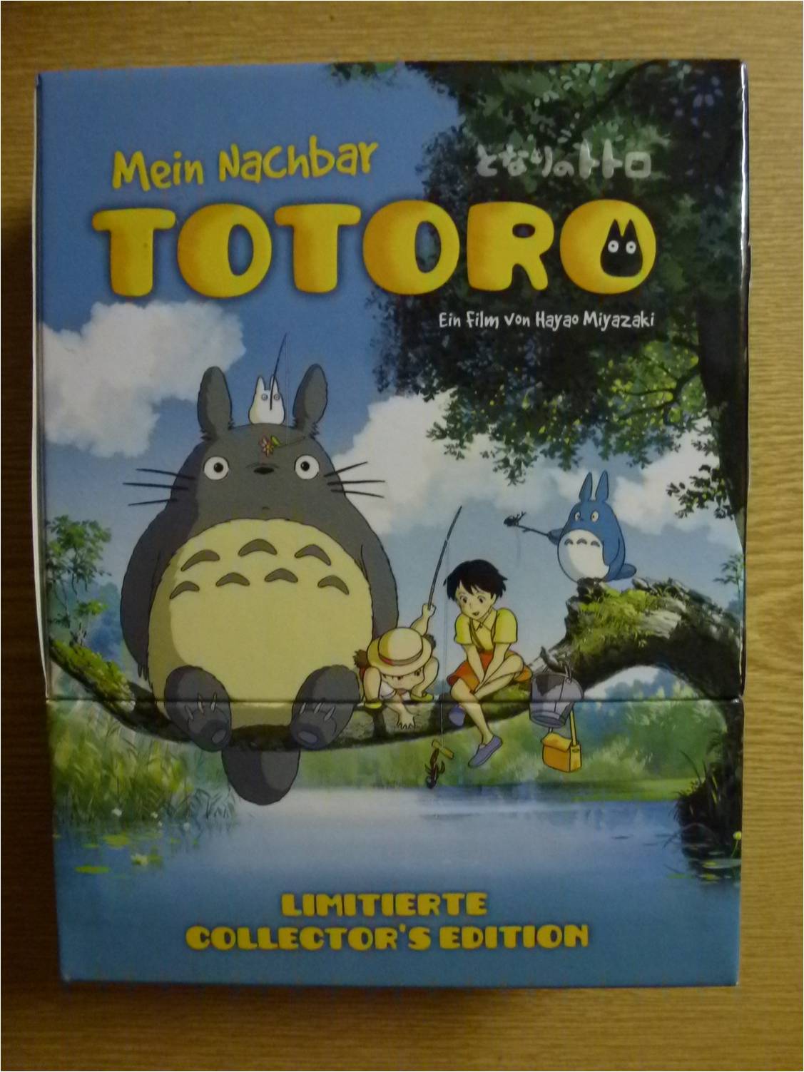 totoro1.jpg