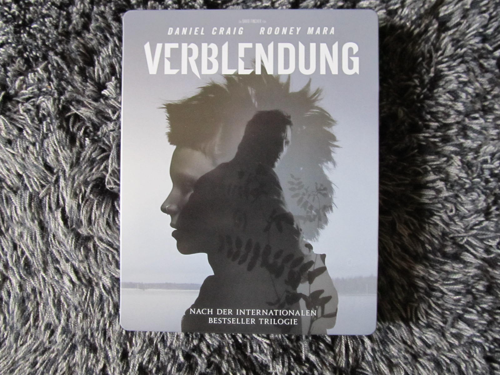 Verblendung 001.JPG