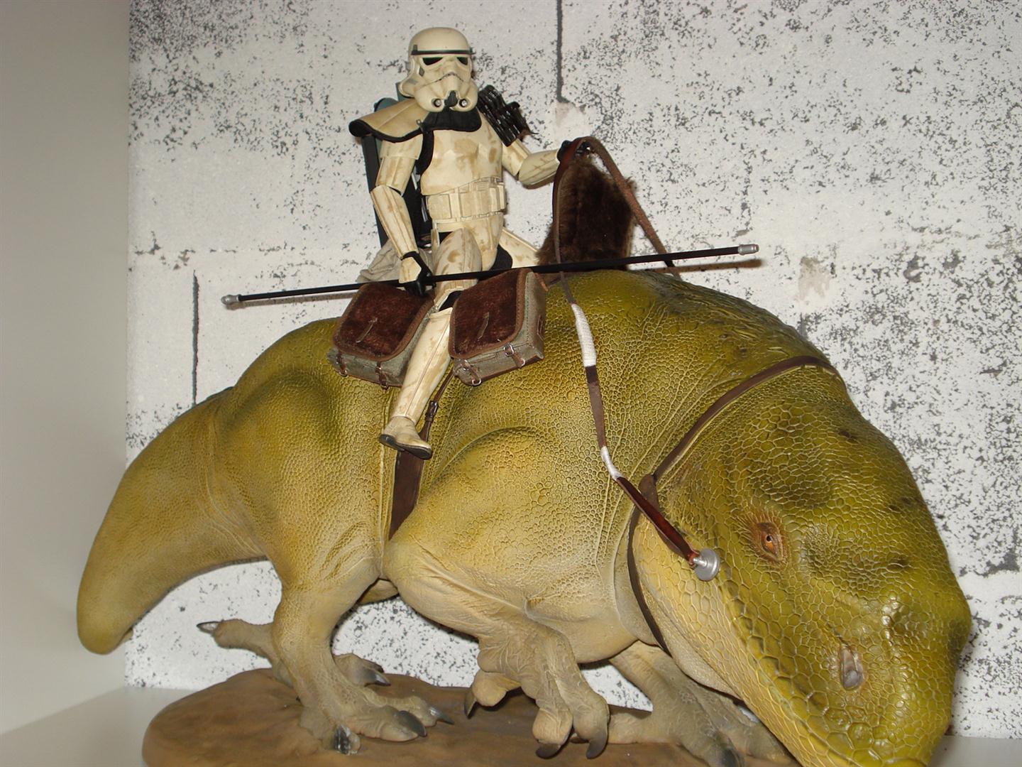 Dewback (Groß).JPG