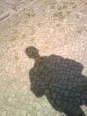 Avatar jotortelli