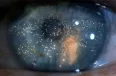 Avatar Cirdan