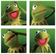 Avatar flinkerfrosch