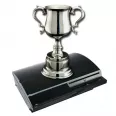 Avatar Trophies_Player_3