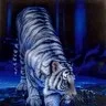 Avatar st0rm