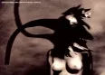 Avatar d_mode