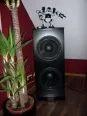 Avatar dasding81