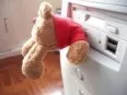 Avatar Teddyknuddel