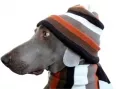 Avatar ugr47df