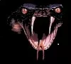 Avatar Black Cobra