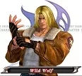 Avatar TerryBogard