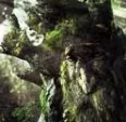Avatar Baumbart