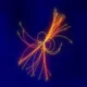 Avatar Higgs
