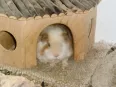 Avatar betman031184