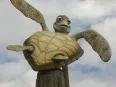 Avatar maverik