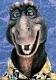 Avatar RoyTheT-Rex