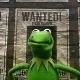 Avatar eLviS1987