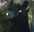 Avatar DerMecki