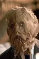 Avatar scarecrow08