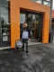Avatar Critter