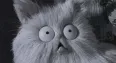 Avatar bibo84