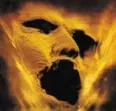Avatar schilduin