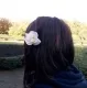 Avatar skatertine