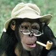 Avatar prof.chimp